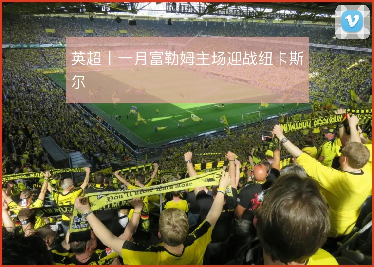 英超十一月富勒姆主场迎战纽卡斯尔