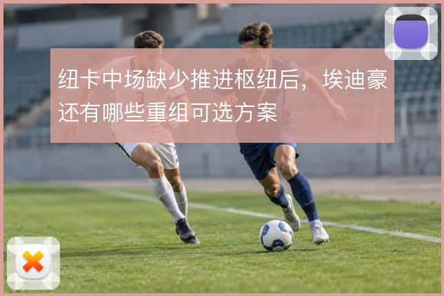 纽卡中场缺少推进枢纽后，埃迪豪还有哪些重组可选方案
