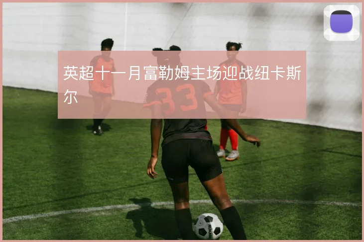 英超十一月富勒姆主场迎战纽卡斯尔
