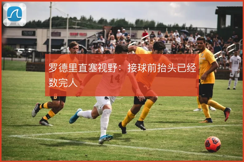 罗德里直塞视野：接球前抬头已经数完人